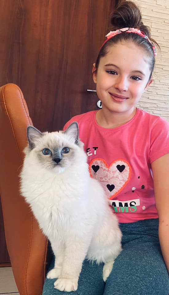 /images/Galeria/Cicák-gyerekek (Cats&Chirldren)/93679802_1105683203132706_5713327924212400128_n.jpg